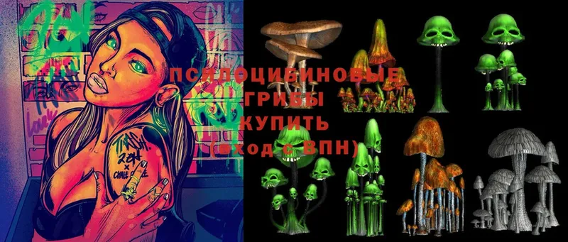 Псилоцибиновые грибы Cubensis  Конаково 